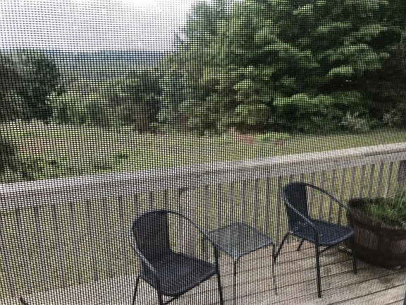 5th image of 1095 S Ruby Ln
