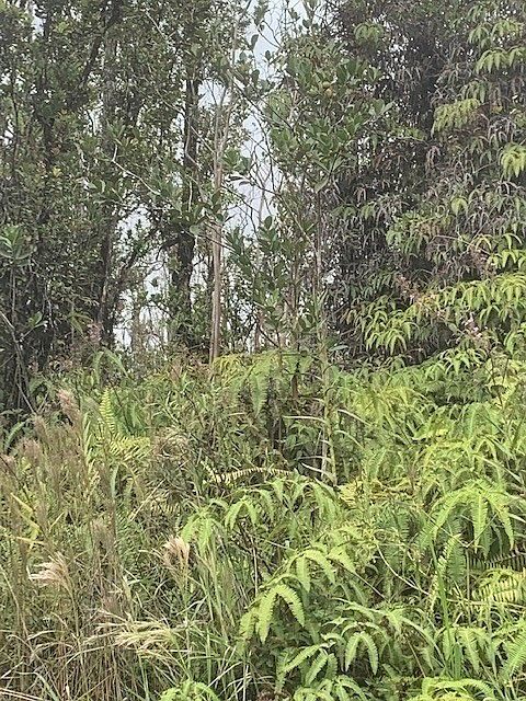 2nd image of Kokokahi Rd Lot 66