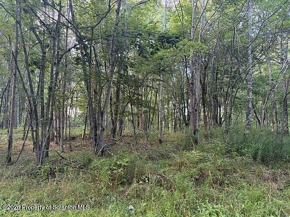 4th image of 265 N Smith Rd