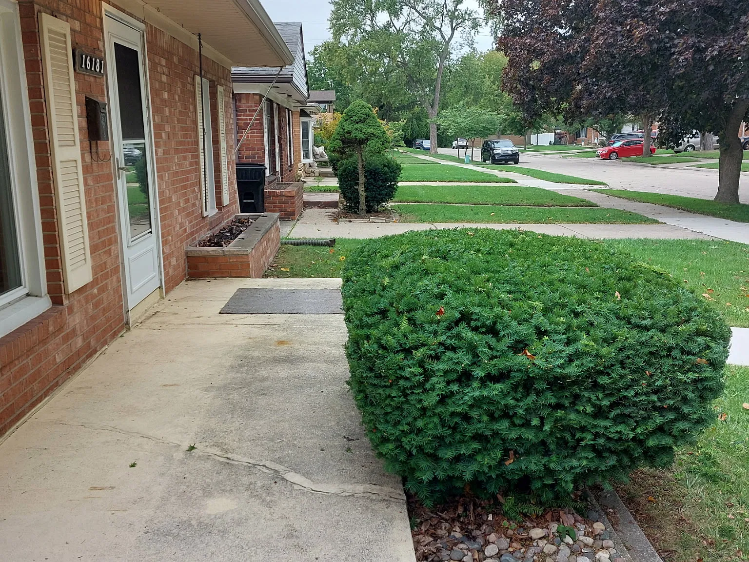 3 bed, 986 sqft, $1,500 — Photo 2