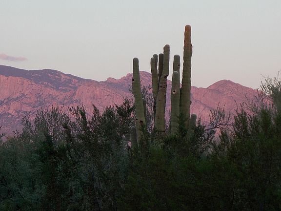 5th image of 11434 N Adobe Village Pl