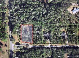 2943 E Angelina St, Inverness, FL 34453