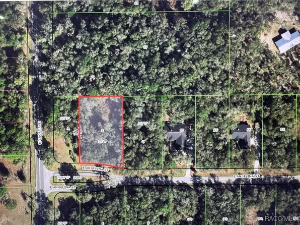 2943 E Angelina St, Inverness, FL 34453
