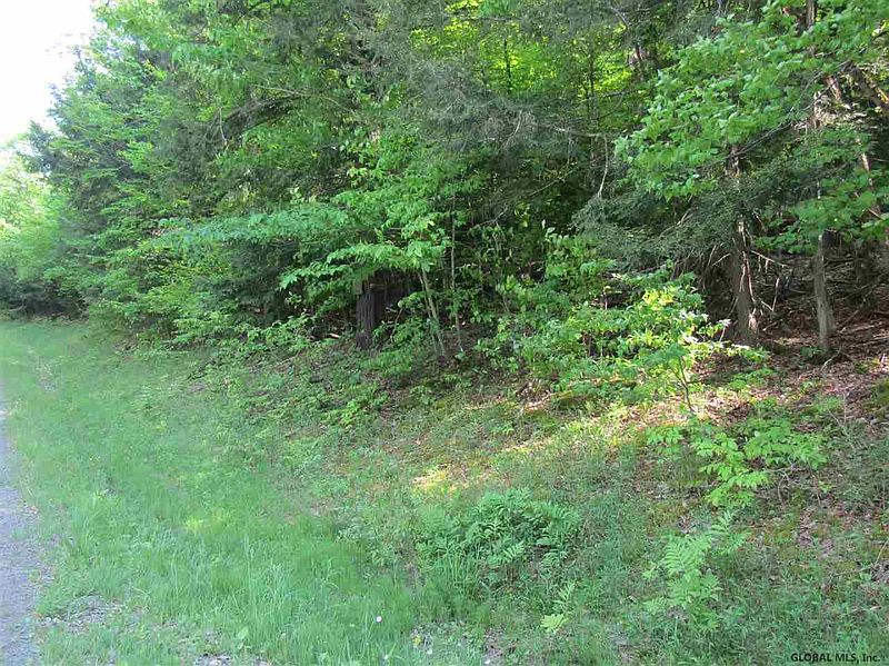 2nd image of 0 CANADY HILL Road