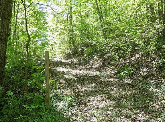5th image of Bear Cove Cir