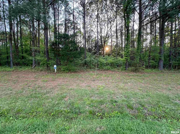 Parrish Ridge Ln, Goreville, IL 62939