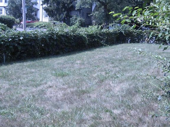 Yard & Gardens