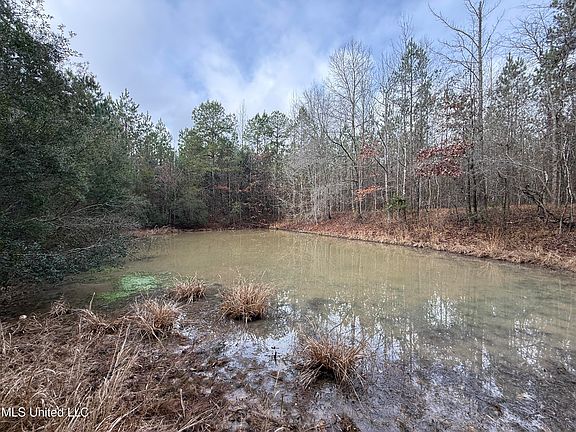 5th image of 602 Ship Island Rd