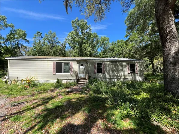 1744 County Road 416n, Lake Panasoffkee, FL 33538