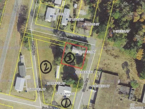 10 Green Ave, Greensboro, FL 32330