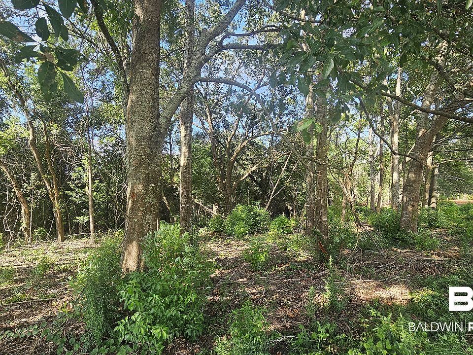 1st image of 903 Savannah Ct