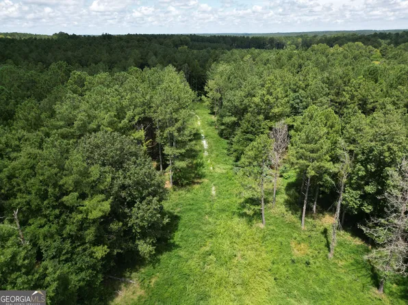Lillian Strong Rd, Carlton, GA 30627