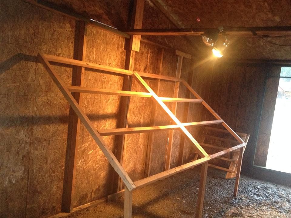 Inside the chicken coop