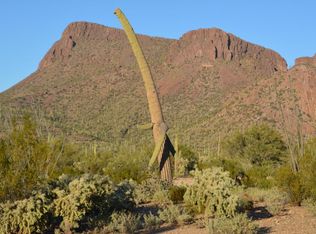 9761 W Rain Lily Ln, Tucson, AZ 85743