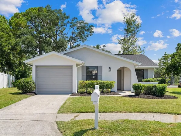 1206 Sawgrass Ct, Oldsmar, FL 34677