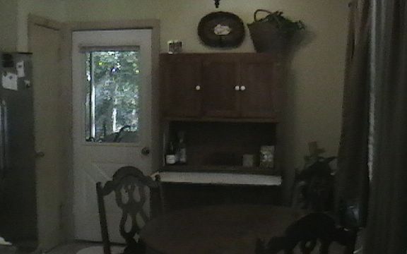 4th image of 230 Woodfern Gln