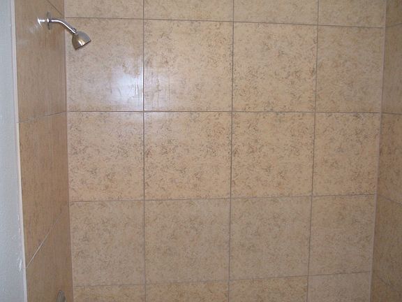 Full tile shower in bath