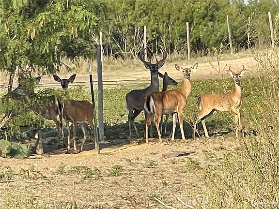 2nd image of 0 Loma Blanca Rd