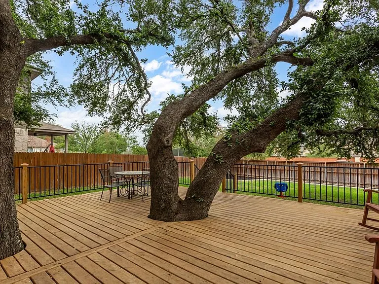 11217 Persimmon Gap Dr — Photo 28