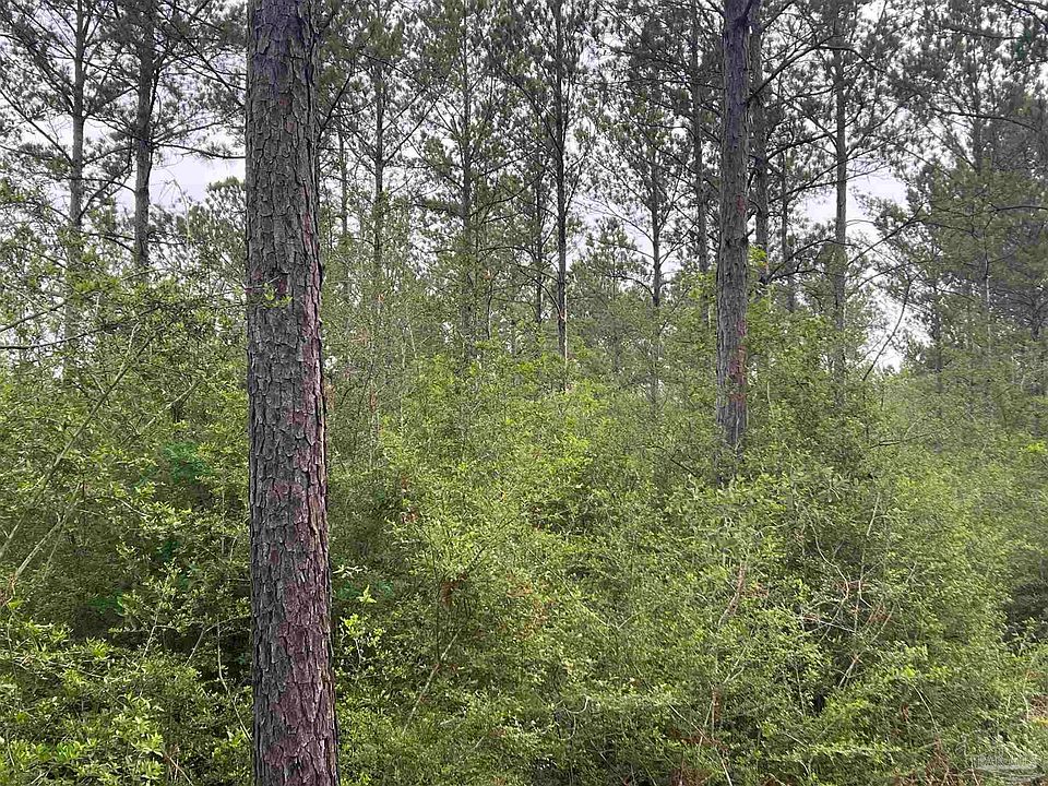 2nd image of 1 Gin Rd