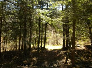 602 Ouaquaga Rd, Windsor, NY 13865