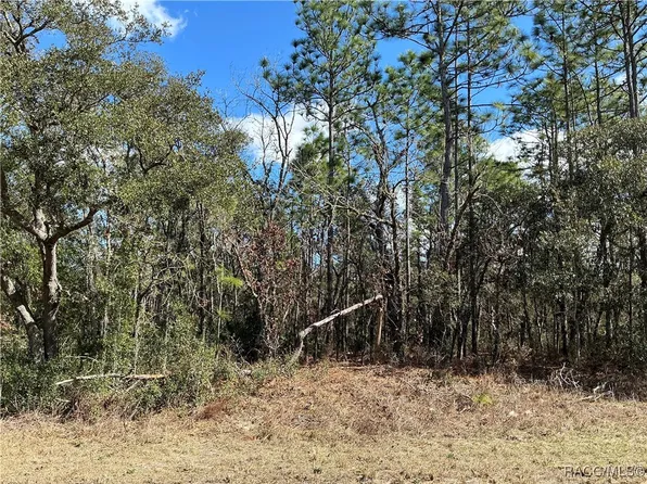 5959 N Matheson Dr, Citrus Springs, FL 34434