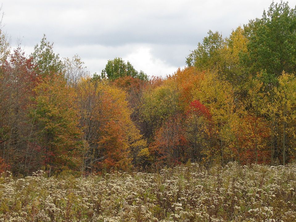 2nd image of 314 Gameland Rd
