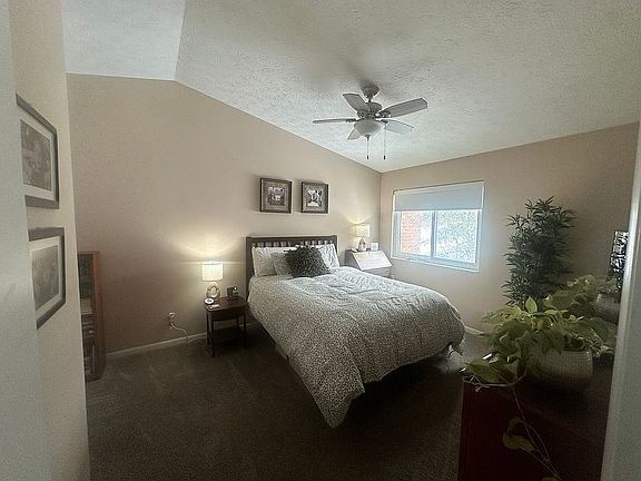 Master bdrm vaulted ceiling