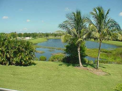 Private Backyard/View