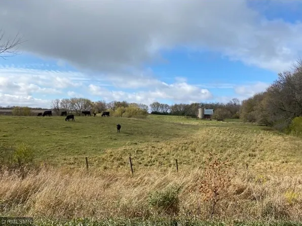 295th Ave, Dalton, MN 56324