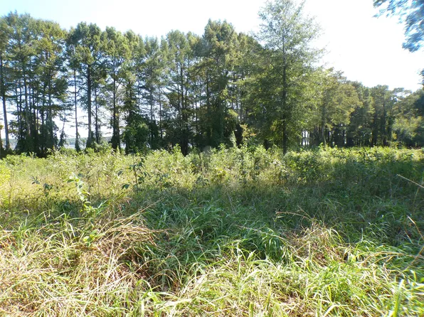 0 Collier Trl, Lewisville, AR 71845