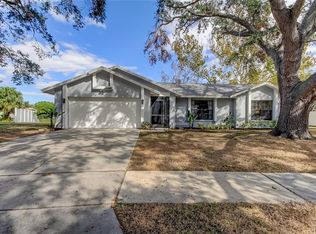 10446 Tara Dr, Riverview, FL 33578