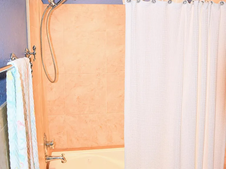 Hall bathroom shower and tub.