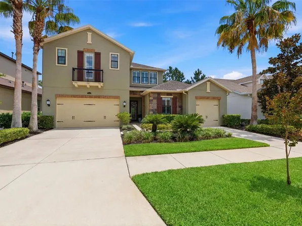 14231 Avon Farms Dr, Tampa, FL 33618