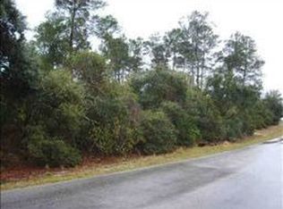 5348 Suwannee Rd, Weeki Wachee, FL 34607