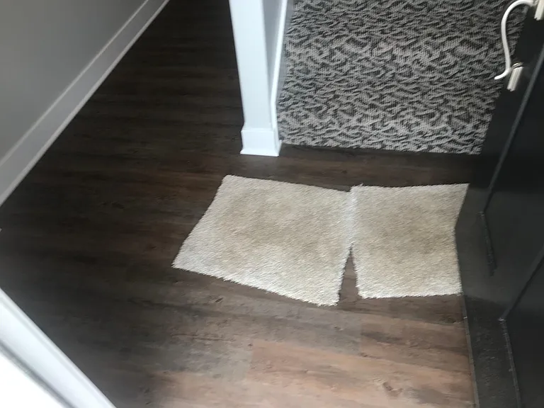 Lower level entrance. stair straight up to Main floor. Hall to left is to 3rd bedroom and supplied washer and dryer.