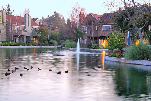 1st image of 969 Shoreline Dr