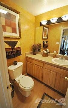 4th image of 3105 San Jacinto St APT 116