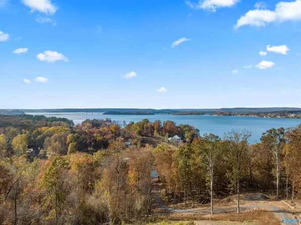Signal Point Rd, Guntersville, AL 35976