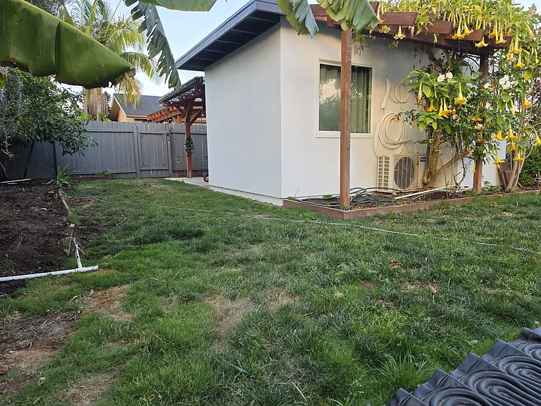 Backyard behind flexible room
