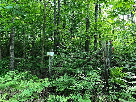 4th image of 13729 Baird Rd