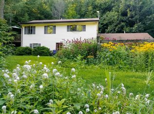 1585 Webster Brook Rd, Bloomville, NY 13739