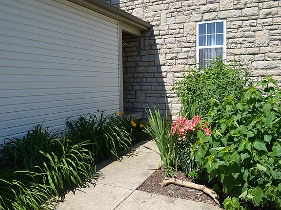 2nd image of 159 Macdougall Ln