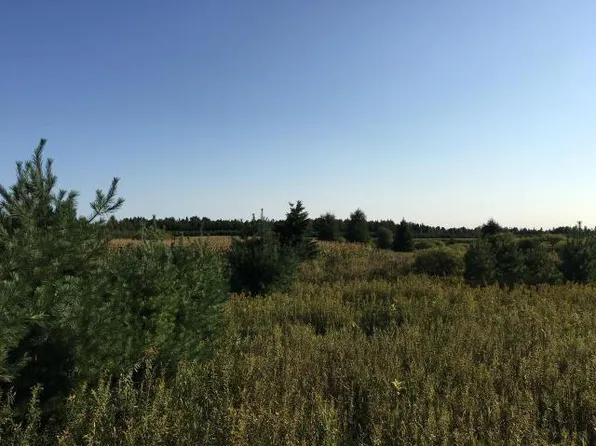 N6902 Deer Shiners Dr, Gleason, WI 54435