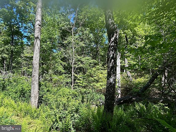 3rd image of S South Timber Ridge Rd