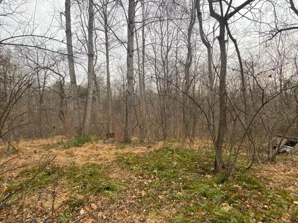 0 Settle School Rd, Rixeyville, VA 22737