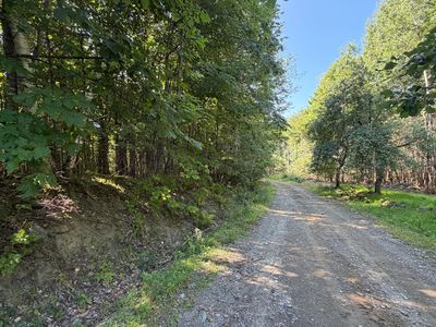 Map 9 Lot 16-10 Clark Richardson Road, Garland, ME, 04939