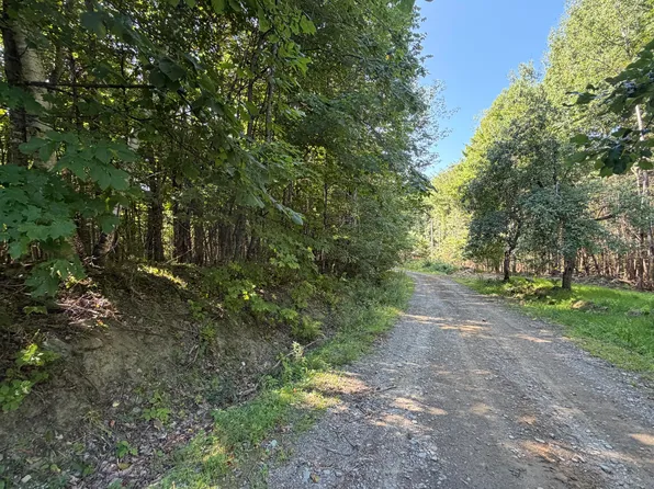Map 9 Lot 16-10 Clark Richardson Road, Garland, ME 04939