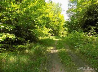 Tbd Aldrich Rd, Manistique, MI 49854
