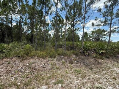 16483 NW 302nd Street, Okeechobee, FL, 34972